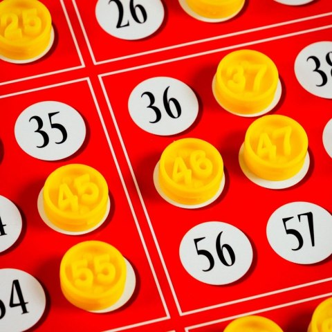 Gra Ludoteca Bingo Gra Ludoteca Bingo