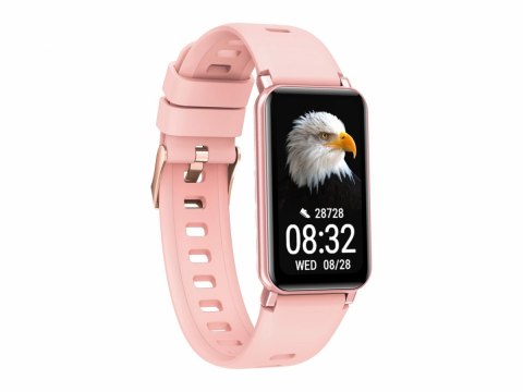 Smartwatch Fit FW53 Nitro 2 Złoty Smartwatch Fit FW53 Nitro 2 Złoty
