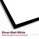 Ekran ręczny na statywie 4:3 84" 170x127cm TS-84 4:3 Ekran ręczny na statywie 4:3 84" 170x127cm TS-84 4:3