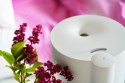 Nawilżacz powietrza z dyfuzorem zapachów AHA501 Nawilżacz powietrza z dyfuzorem zapachów AHA501
