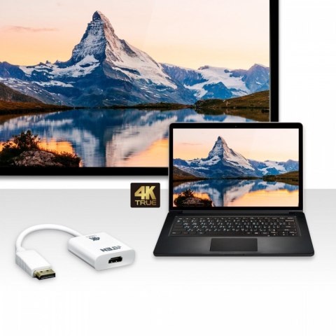 Adapter DisplayPort do HDMI 4K Adapter DisplayPort do HDMI 4K