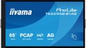 Monitor 65 cali T6529AS-B1AG VA,4K,HDMIx2,USB-C,RJ45,2x10W,WiFi, Android 14, Signal FailOver, Whiteboard, iiSignage2 (CMS), 