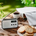 Radio cyfrowe PLL AD1907