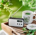 Radio cyfrowe PLL AD1907