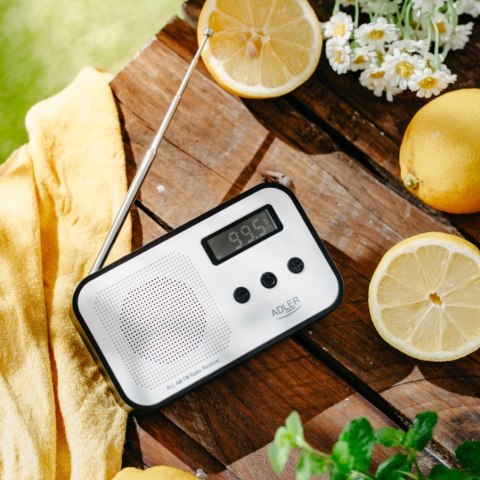 Radio cyfrowe PLL AD1907 Radio cyfrowe PLL AD1907