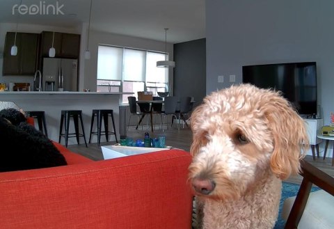 Kamera IP Reolink E340 wewnętrzna obrotowa 8MPx WiFi biała